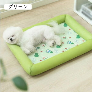  S xbh ybgxbh ėp 􂦂 ^ėpxbh L  ʋC 􂦂 ~ ybg\t@[ pxbh NbV ӂӂ I[V[Y  薰 v h