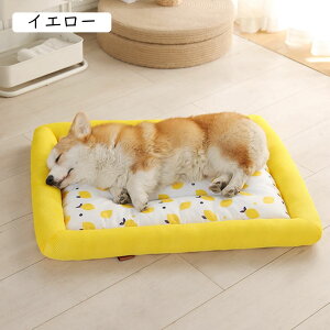 L xbh  xbh  ybgxbh ybgNbV ėp ybg\t@[ ^/^p Lp 􂦂 sN ybg}bg ėpxbg L ʔN  _炩 ~ ʋC ybg