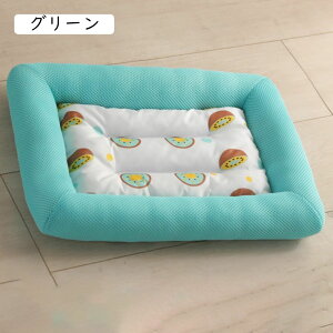 L xbh  xbh  ybgxbh ybgNbV ėp ybg\t@[ ^/^p Lp 􂦂 sN ybg}bg ėpxbg L ʔN  _炩 ~ ʋC ybg