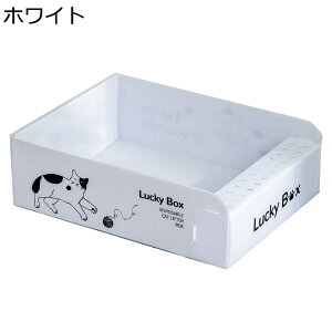 y20%OFFN[|zLpĝăgC LgC I[v^Cv ܂?|[^u y RpNg ^ ^ Ȉ Rꍻ݌v юUȂ |ȒP lRgC ԍ h  