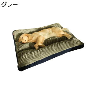 y20%OFFN[|`zybgxbh 傫 xbh H~ XNGA^ ^  ^ }bg NbV ӂӂ  g ʔN K _炩 ʋC 􂦂Jo[ ~ ۉ