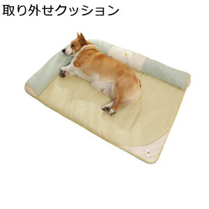 y20%OFFN[|`zybgxbh  ` 􂦂  ^ xbh Lxbh  NbV ӂӂ }bg ̃X|W ݂ɂ ybg\t@[  тȂ 