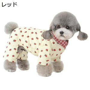 y20%OFFN[|z@H~@@Ȃ@m@^@lC@@@p[X@_炩@Ȑ@l̑@ۉh@g@̎q@t@V@@yb