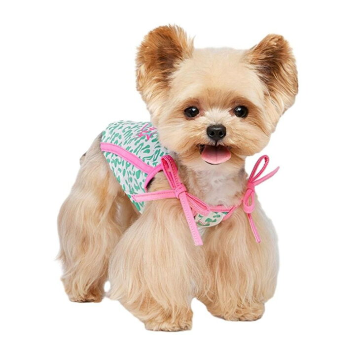 楽天市場】【20%OFFクーポン】小型犬服 春夏 秋 可愛い ペット服 子犬 