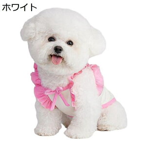 y20%OFFN[|zybg@^EFA@tā@@L@ʋC@lC@t@V@@xXg@^@ĕ@іh~@hbOEFA@m@Ȃ@`@}`