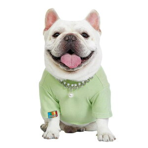 y20%OFFN[|zhbOEFA@^@p[J[@tH@~@@^@TVc@@`@Lm@_炩@ێ@pRX`[@lC@@Uo|