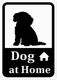 [CraftBunny®] 家に犬がいますステッカー「トイプードル」 Dog at Home (再剥離ステッカー) s57r