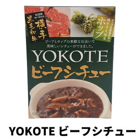YOKOTE ビーフシチュー