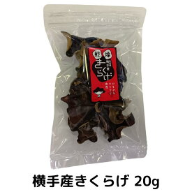 きくらげ 20g（国産/秋田県横手産/無農薬/菌床栽培）
