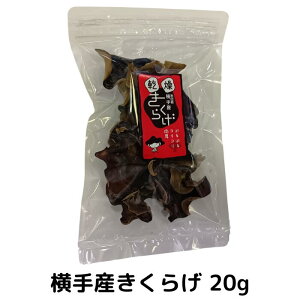 炰 20giY/HcY/_/ۏ͔|j