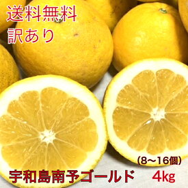 愛媛県産訳あり宇和島南予ゴールド4キロ（10〜14個）　【送料無料　北海道・沖縄別途800円・離島別途】サイズ（M〜4L）【樹齢25年】【宇和ゴールド】【河内晩柑】【美生柑】みかん・和製グレープフルーツ・訳あり・柑橘・フルーツ・家庭用・爽やか・夏分担・オレンジ