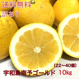 愛媛県産訳あり宇和島南予ゴールド10Kg（22〜32個）　訳あり　送料無料【北海道・沖縄別途800円・離島別途】サイズ（M〜4L）樹齢25年・宇和ゴールド・河内晩柑・美生柑・みかん・和製グレープフルーツ・訳あり・柑橘・フルーツ・家庭用・クーポン・夏分担・オレンジ