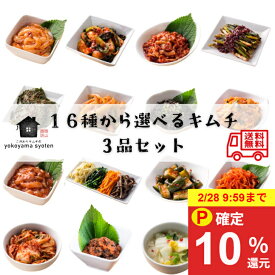 ＼キャンペーン対象商品／送料無料 16種から選べるキムチ3品セット キムチ 手作り セット 選べる 3種 お試しセット 変わり種 イカキムチ ナムルセット チャンジャ 白菜キムチ 韓国 カクテキ 水キムチ ネギキムチ 明太子　お取り寄せ 鍋