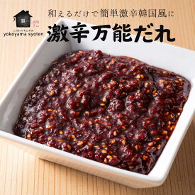 激辛万能だれ 150g/300g/600g/1K(500g×2) 韓国 韓国グルメ 手作りキムチ お取り寄せ 韓国料理 韓国食品 たれ 韓国風たれ