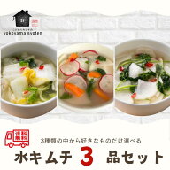 【楽天1位】水キムチ3品セット 白菜 彩り パクチー 900g～ キムチ 水キムチ 漬物 腸活 乳酸菌 健康志向 …