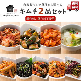 【送料無料】選べるキムチ お試し 2点セット キムチ セット 本場 手作り 韓国 白菜キムチ オイキムチ カクテキ 海苔キムチ チャンジャ セロリキムチ 水キムチ ネギキムチ 韓国料理 ギフト 自家製 お取り寄せ 変わり種