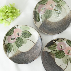 yvqāz M XM  P[LM VvȊی` a14.5cmO yD̂΂V[YEPi1z