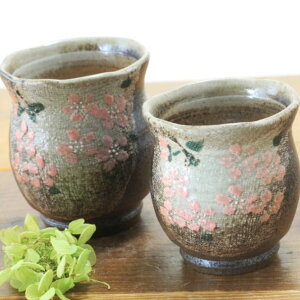 yvqāz vwۂ vw ʕz ͗l y召2Zbgz