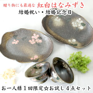 yvqāzyzM2ƕvwq̘aH킨4_Zbg g͂Ȃ݂ j LOȂǂ̑蕨ɂœK ll1