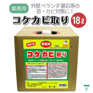 コケカビ取り 18L 噴射ノズル付き 屋外用 掃除用品 カビ予防 カビ対策 苔除去剤 コケ対策 汚れ落とし 洗浄クリーナー