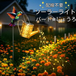 K[f\[[Cg \[[K[f O o[h傤 Op K[fp GNXeA LEDCg