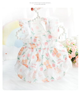    N}񃏃s[X L ^ p  s[X ybgEFA ̕ 킢  hbOEFA LbgEFA  ybg H ~ 