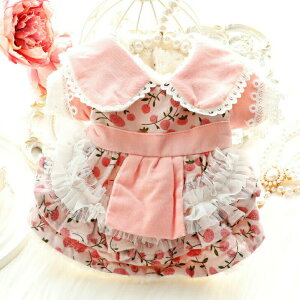 ~phX  sN F  L ^ p  s[X EFA ̕ 킢  Y   hbOEFA  ybg H ~  Cxg j