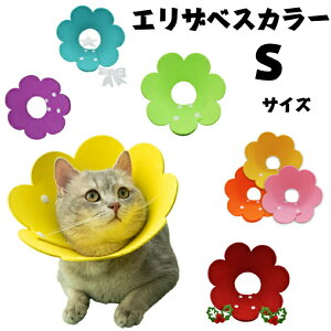 GUxXJ[2Zbg ySTCYz  L ^ \tg y _炩 p ybg r r ی p PK   ȒP \tgGUxXJ[ y