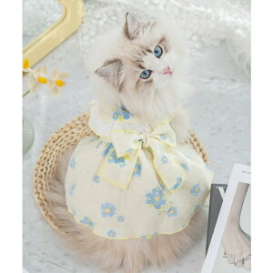    {s[X  L ԕ ^ p  s[X EFA ̕ 킢  hbOEFA LbgEFA  ybg H ~  g 