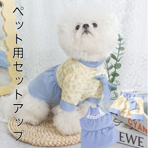   킢 ZbgAbv  ^   Ck lR EFA ̕ 킢  hbOEFA  ybg H ~  L~\[ Vc WPbg