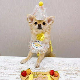 バースデースタイ＆ハット お誕生日に大活躍 スタイ 帽子 ハット セット 可愛い 犬用スタイ スタイ エプロン 記念日 お祝い お誕生日セット 誕生日