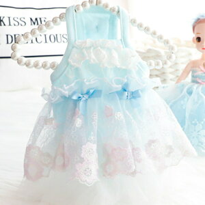   킢 hX L~\[hX   L ^   s[X EFA ̕ 킢  Y  hbOEFA  ybg  Cxg j