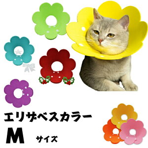 GUxXJ[2Zbg yMTCYz  L ^ \tg y _炩 p ybg r r ی p PK   ȒP \tgGUxXJ[ y