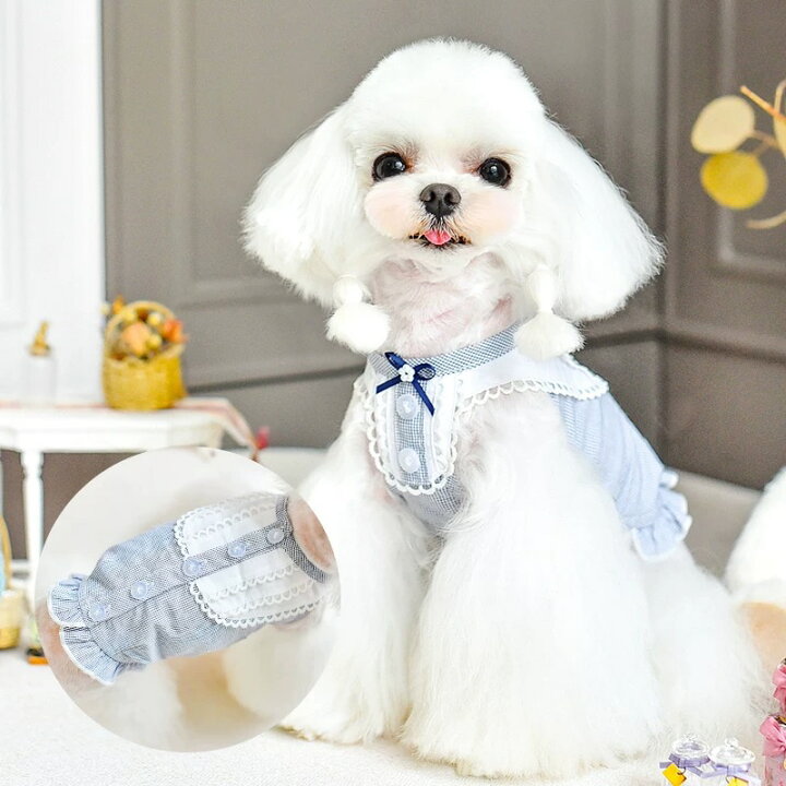 楽天市場】犬 服 可愛い peekapoodle オシャレ ワンピース 