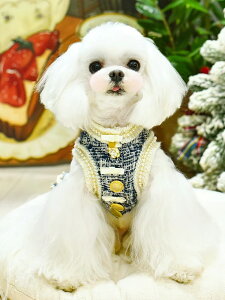   킢 peekapoodle IV nhCh hX  ̕  ^ ^   ₷  킢 U   j̎q ̎q IX X