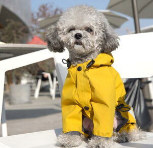  CEFA CR[g  Ȃ ₷J hbOEFA U s o ̕ ybgpi ~J ~J΍ JJbp  h h h y  Xqt