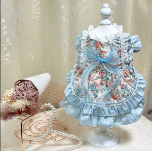   킢 hX p[eB[hX  ԕ  L ^   s[X EFA ̕ 킢  Y  hbOEFA ybg ~  Cxg j