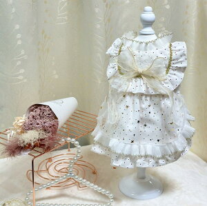   킢 hX p[eB[hX  S[h  L ^   s[X EFA ̕ 킢  Y  hbOEFA ybg ~  Cxg j