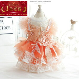   킢yyVLO1ʁzhX IW ԕ p[eB[hX  L ^   s[X ̕ 킢  Y  hbOEFA   j