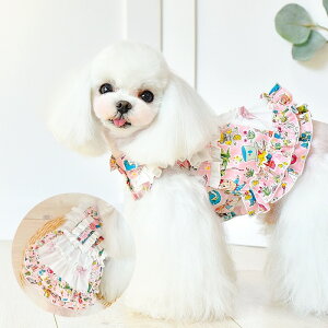   킢 peekapoodle IV Vc s[X nhCh ̕  hbOEFA ^   ₷ 킢 U   j̎q ̎q OJ