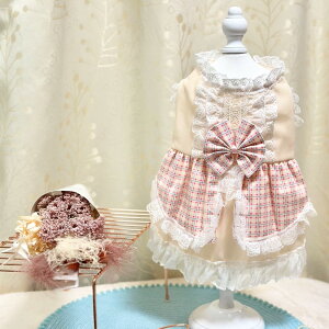   킢 hX p[eB[hX N[ `FbN {  L ^   s[X EFA ̕ 킢  Y  hbOEFA ybg 