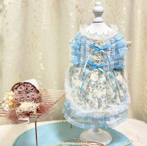   킢 hX p[eB[hX  F u[ [X  L ^   s[X EFA ̕ 킢  Y  hbOEFA ybg  j