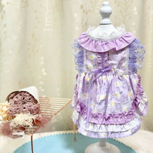   킢 hX p[eB[hX p[v  ԕ  L ^   s[X EFA ̕ 킢  Y  hbOEFA ybg  j