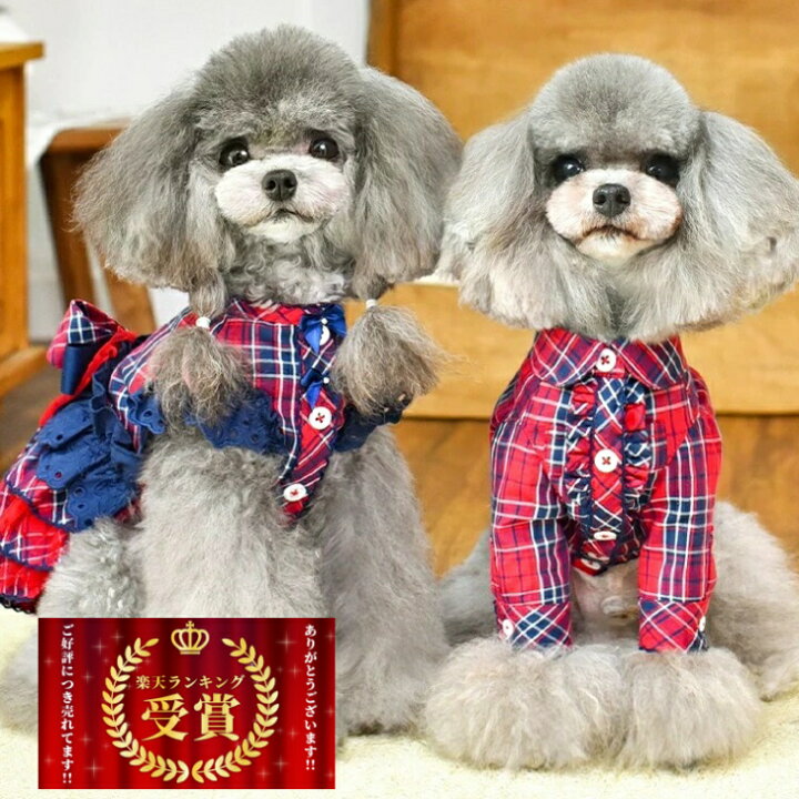 楽天市場】犬 服 可愛い peekapoodle オシャレ シャツ ワンピース 