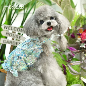   킢 peekapoodle IV Vc nhCh ̕  ^ ^ t  ₷  킢 uh Z[ U   j̎q ̎q IX X