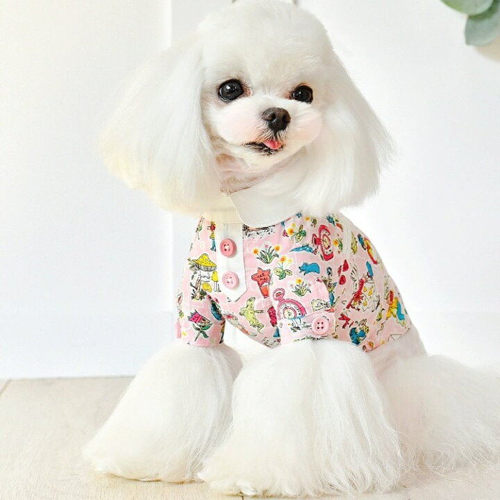 楽天市場】犬 服 かわいい peekapoodle オシャレ シャツ ワンピース 