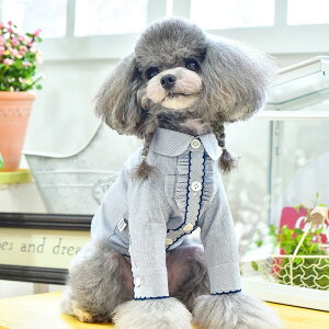   킢 peekapoodle IV Vc nhCh ̕  (hbOEFA) ^ ^  ₷  킢 uh Z[ U   j̎q ̎q