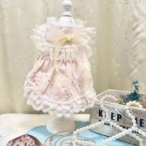   킢 hX p[eB[hX N[ ԕ {  L ^   s[X EFA ̕ 킢  Y  hbOEFA ybg 