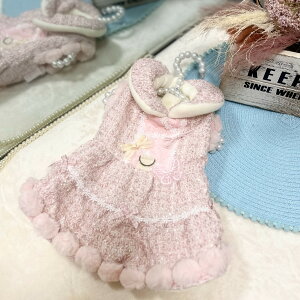  ~  ~ 킢 ~p hX yRRz@sN u[ U ł ^ p ̕ 킢 O{^ OJ  hbOEFA 