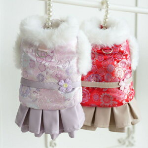  ~  ~ 킢 ~p hX ya RR XJ[gEz@bh p[v U ł ^ p ̕ 킢 O{^ OJ  hbOEFA 